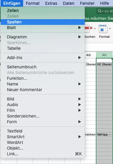 SEosenf Podcast Logo